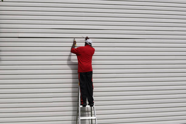 Affordable siding repair and maintenance services in Larkspur, CA