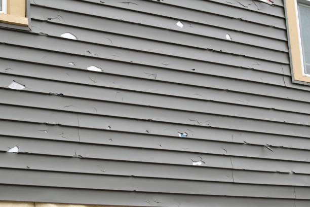 Best Historical Building Siding Restoration  in Larkspur, CA