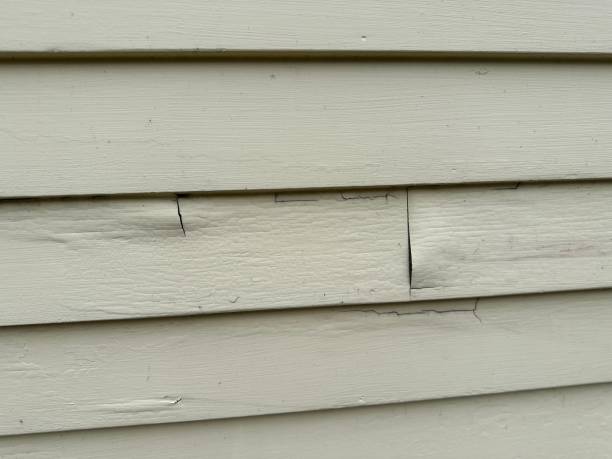 Best Weatherproofing and Sealing  in Larkspur, CA
